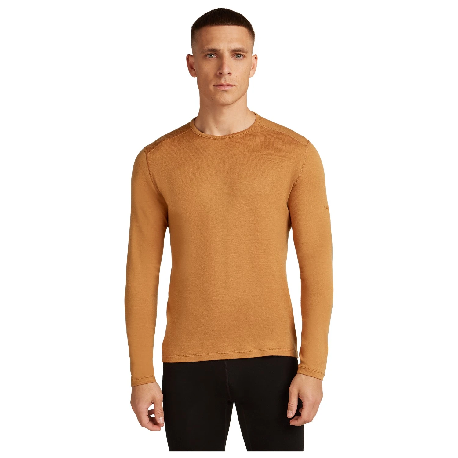 Icebreaker 260 Tech L/S Crewe - Merinounterwäsche 2 Icebreaker 260 Tech L/S Crewe - Merinounterwäsche – Bild 2