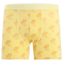 Icebreaker Anatomica Boxers - Merinounterwäsche 20 Icebreaker Anatomica Boxers - Merinounterwäsche -WinterSport Günstiges Geschäft icebreaker anatomica boxers merinounterwaesche 5