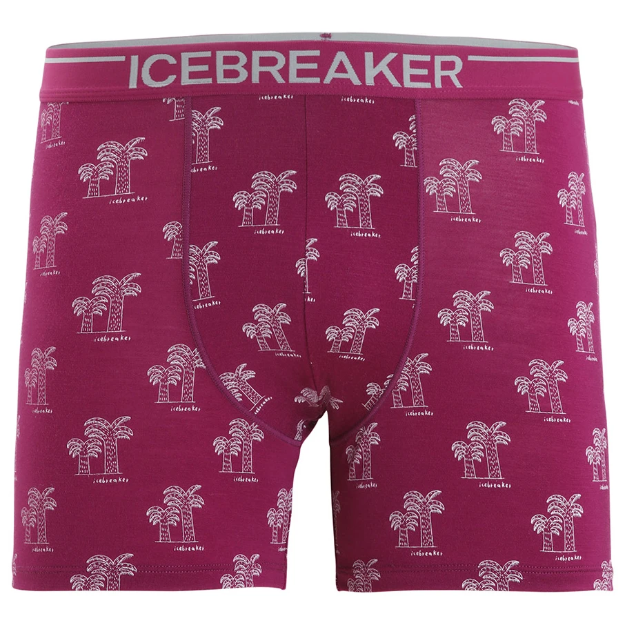 Icebreaker Anatomica Boxers - Merinounterwäsche 12 Icebreaker Anatomica Boxers - Merinounterwäsche – Bild 12