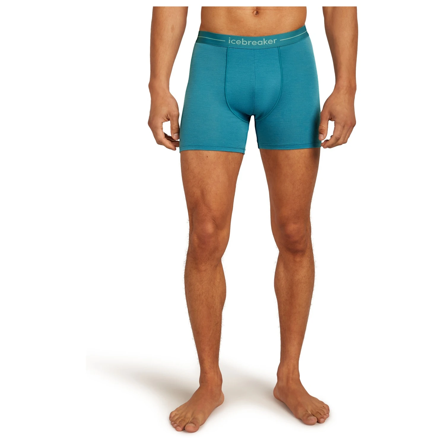 Icebreaker Anatomica Boxers - Merinounterwäsche 2 Icebreaker Anatomica Boxers - Merinounterwäsche – Bild 2