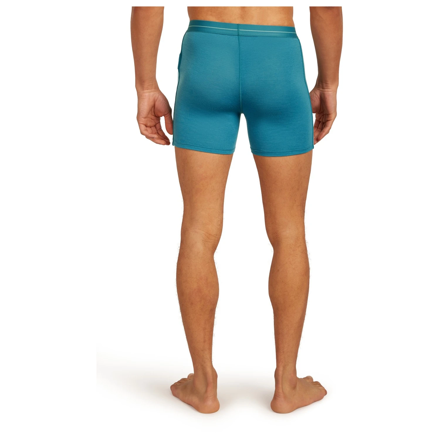 Icebreaker Anatomica Boxers - Merinounterwäsche 3 Icebreaker Anatomica Boxers - Merinounterwäsche – Bild 3