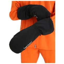 Icebreaker Merinoloft Mittens - Handschuhe -WinterSport Günstiges Geschäft icebreaker merinoloft mittens handschuhe detail 3