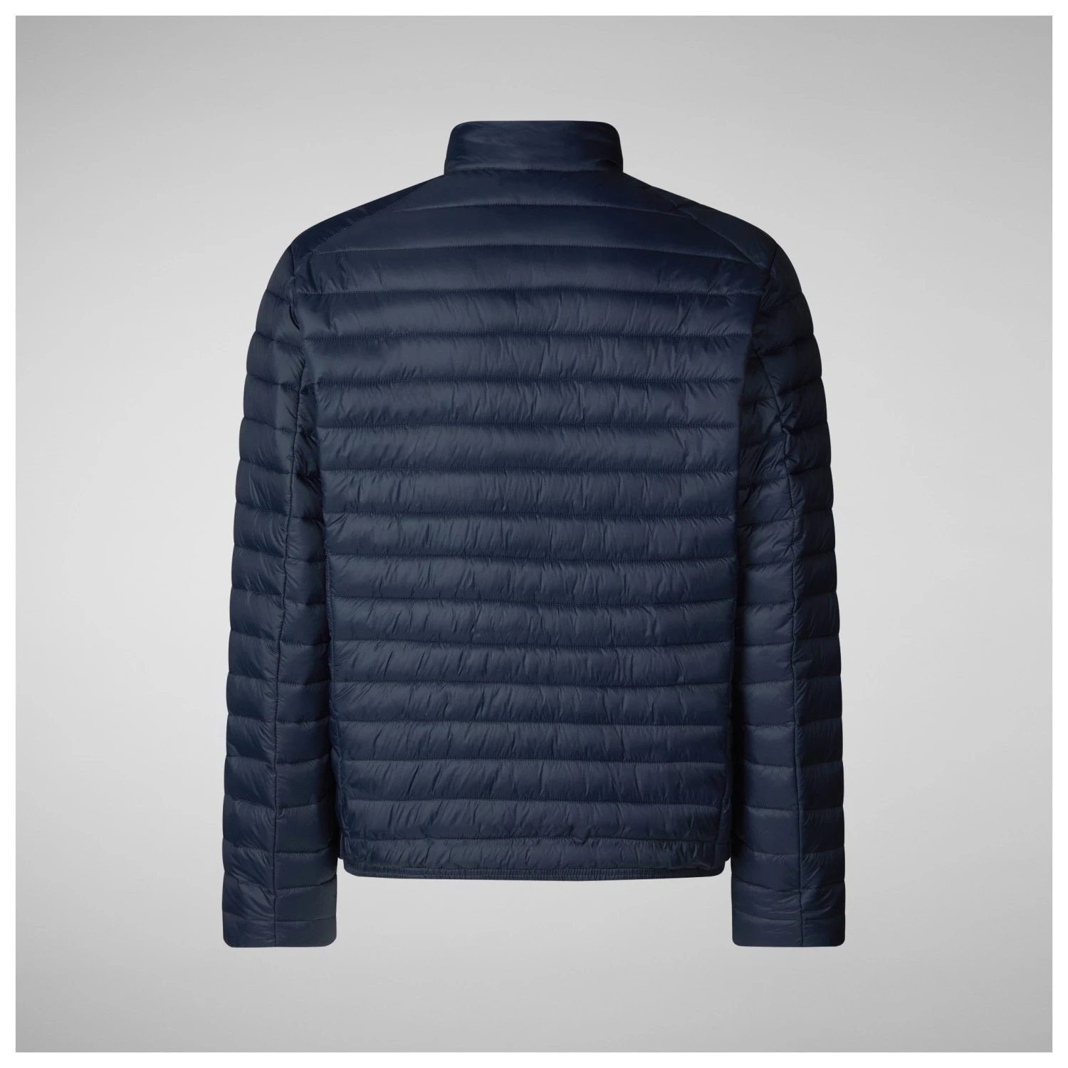 SAVE THE DUCK Alexander - Kunstfaserjacke 2 SAVE THE DUCK Alexander - Kunstfaserjacke – Bild 2